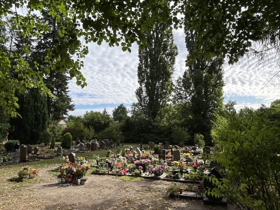 Das Bild zeigt mehrere Grabstätten auf dem neuen Friedhof